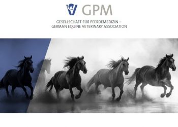 Neuer Röntgen-Leitfaden