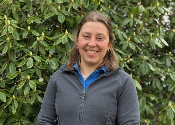 Lilli Mothes (geb. Mittelviefhaus)