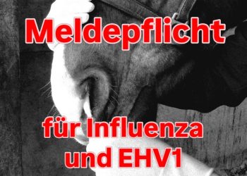 Meldepflicht für Influenza und EHV-1
